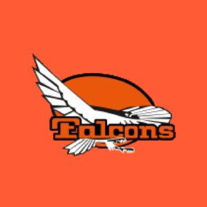 Falcons Hockey