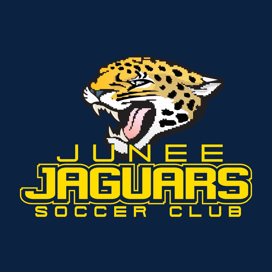 QX3 JuneeJaguars Logo 01